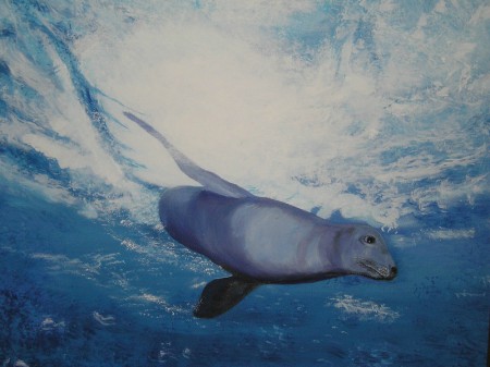 Nandalus 56x46  (non disponible)